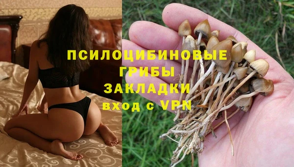 марки nbome Арсеньев