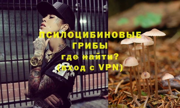 трава Аркадак