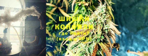 трава Аркадак