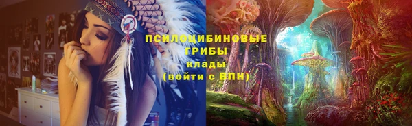 трава Аркадак